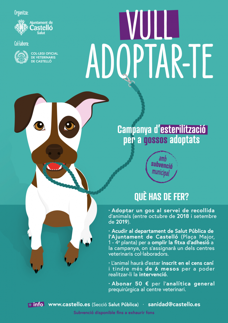 Campanya d'esterilitzaciÃ³ per a gossos adoptats de CastellÃ³