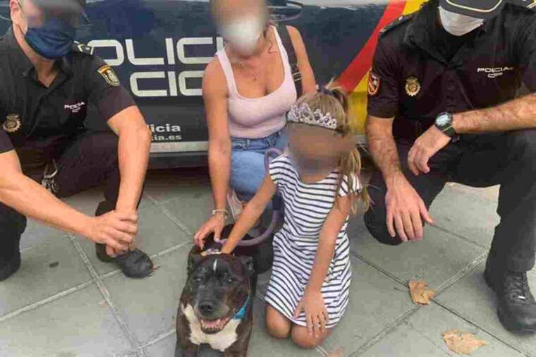 Una famÃ­lia al costat d'un gos atropellat i uns policies en Alacant