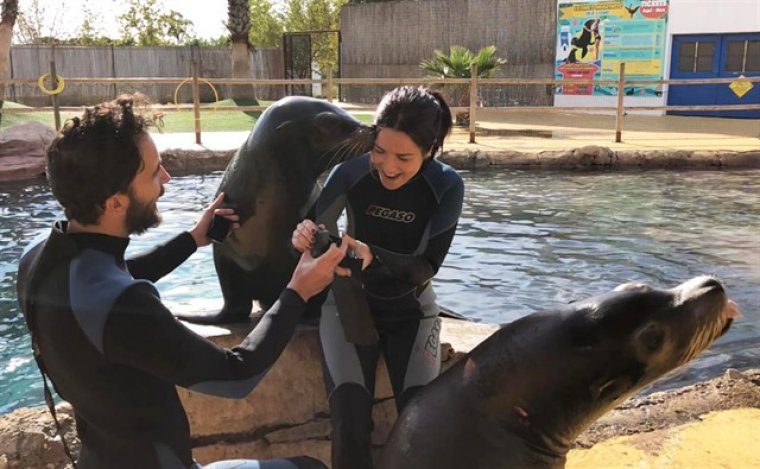 Un jove demana matrimoni a la seua nóvia amb l'ajuda dels lleons marins de Terra Natura