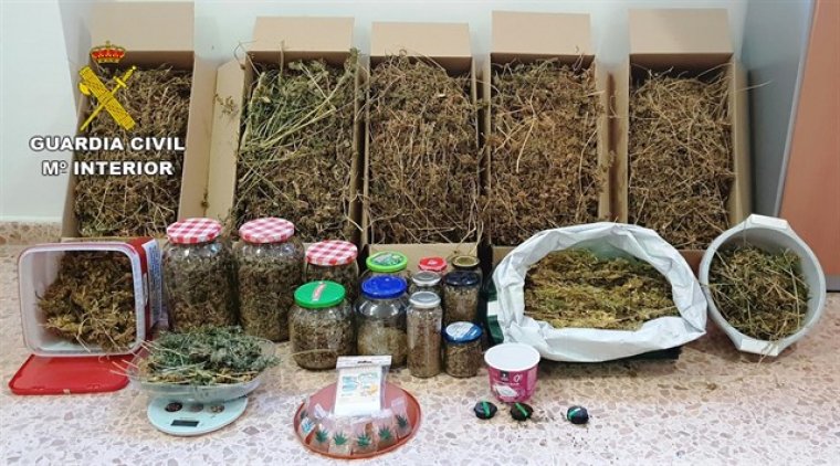 Detingut per cultivar marihuana en un remolc frigorífic dins d'una nau en Pobla Tornesa
