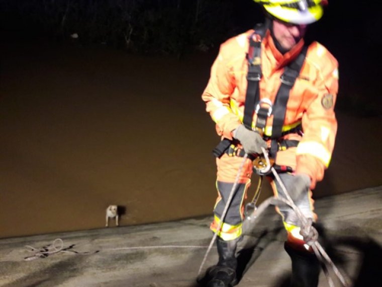 Bombers rescaten a un gos que havia caigut al riu Magre a Algemesí