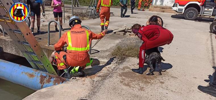 Bombers rescatant a un home i el seu gos