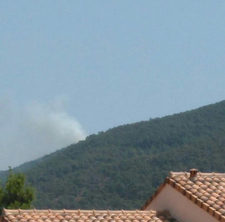 Incendi forestal declarat a Serra