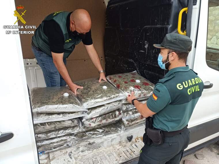 Confisquen 22 quilos de cabdells de marihuana en una furgoneta a Monforte del Cid