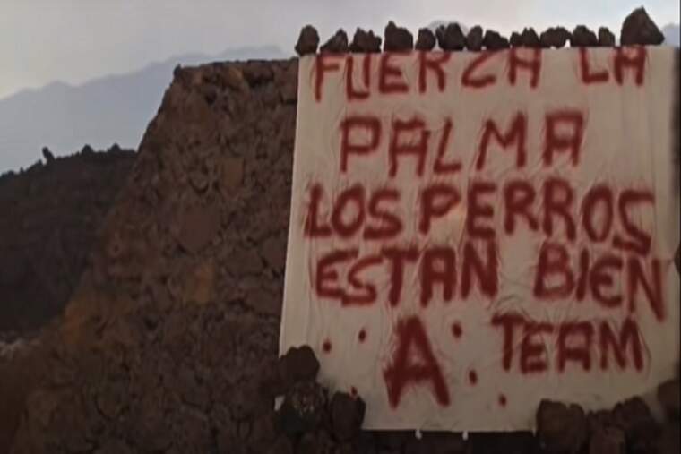 Pancarta gossos La Palma
