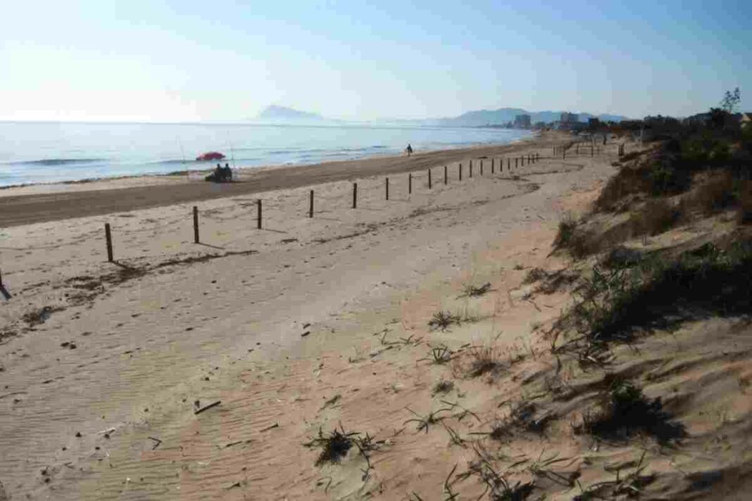 L'accident s'ha produït en la platja Rafalcaid de Gandia