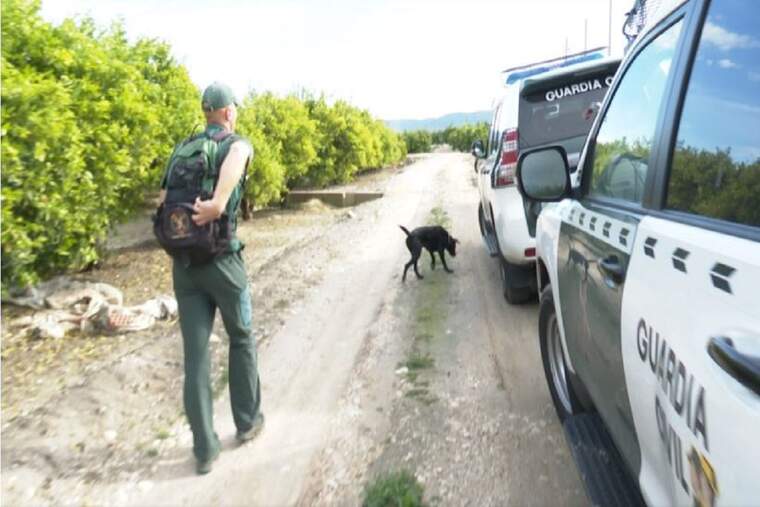 Un guàrdia civil amb un gos rastregant una pista sobre un desaparegut
