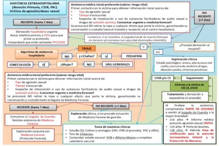 Aspectes que contempla el protocol d'agressiÃ³ sexual de la Comunitat Valenciana que es difon a l'Ã mbit sanitari