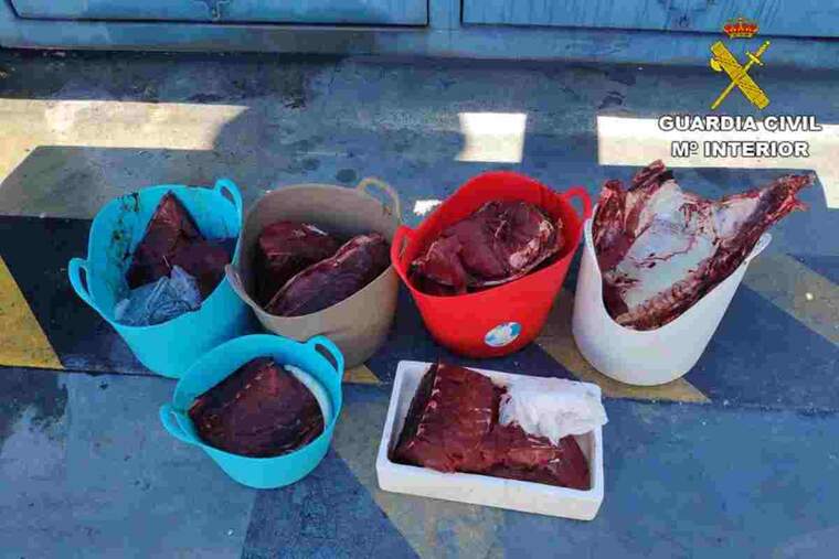 Tonyina roja acabada de pescar, tallada per al consum i repartida en poals