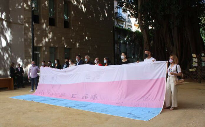 Signatura Bandera Trans per les institucions valencianes