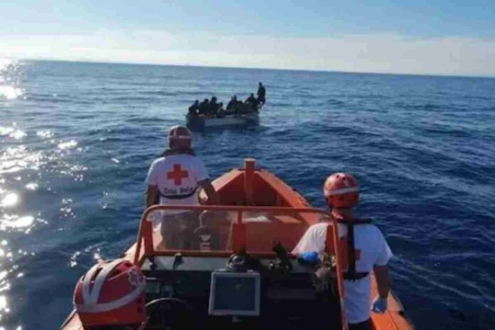 Se'ls està fent proves PCR Se'ls està fent proves PCR