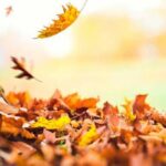 Una setmana tranquil·la