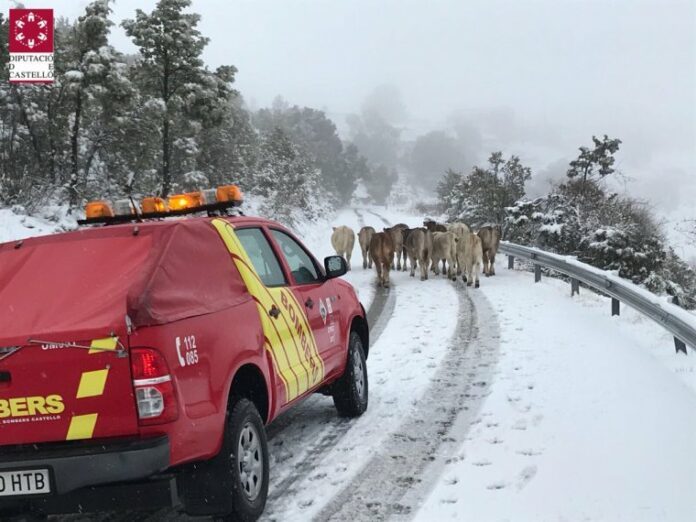 Una carretera de la província de Castelló, estos dies Una carretera de la província de Castelló, estos dies