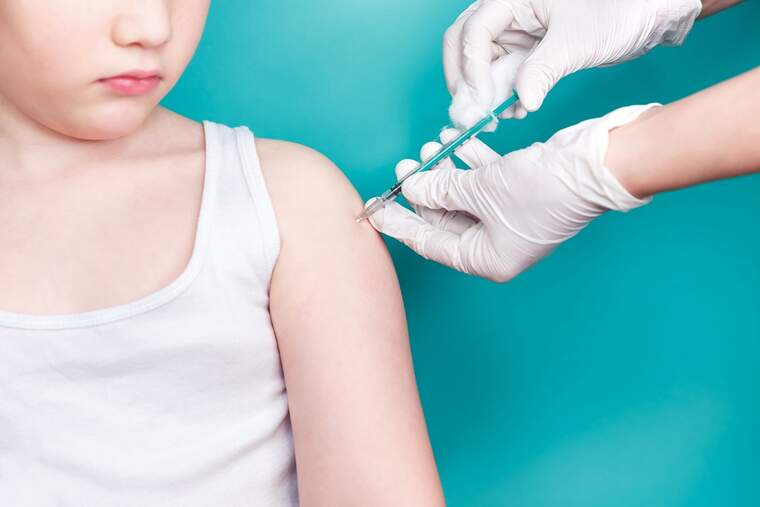 Vacuna xiquet