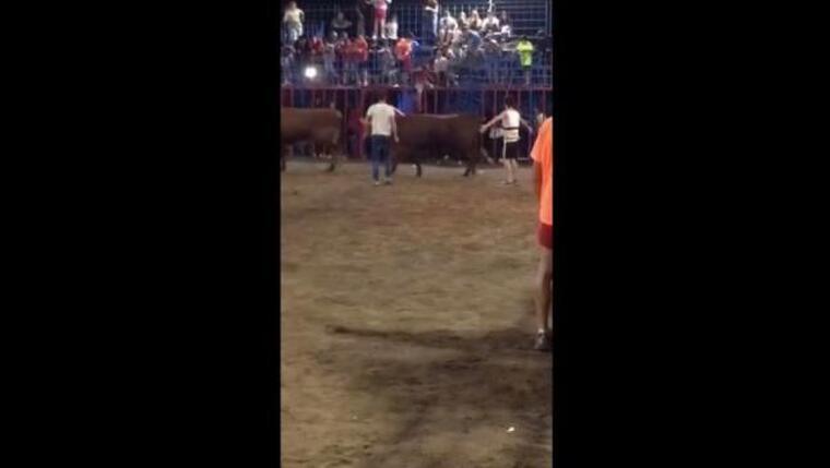 El xiquet ha caigut damunt del bou després de que l'animal tombara la reixa a cornades
