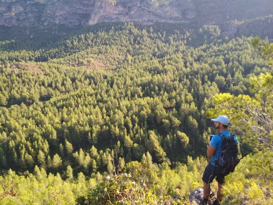 Persona vigilant una zona verda que té perill d'incendi