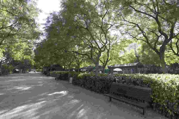 Els fets s'han produït en una zona de jardí de l'avinguda de Giorgieta