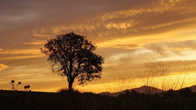 El sol dominarà tot i alguns núvols