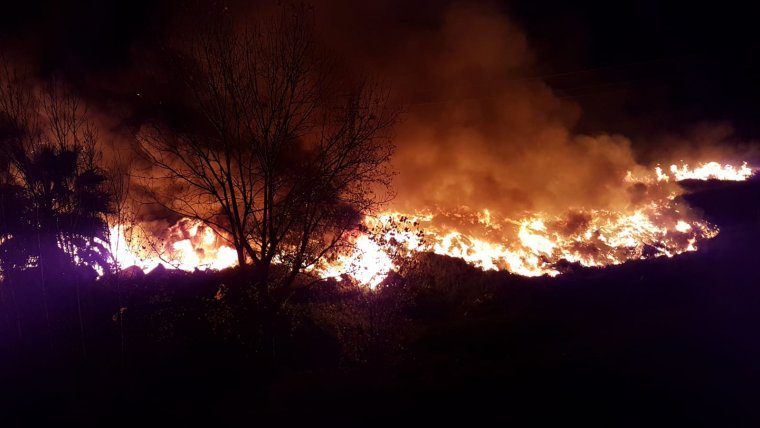 Les flames han cremat arbustos i matolls que es trobaven propers a la fÃ brica