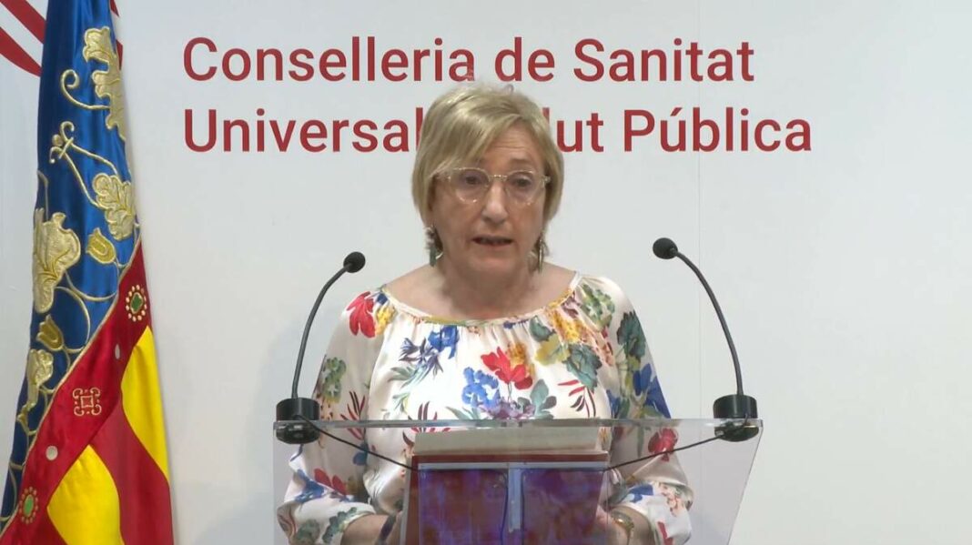 La consellera, Ana Barceló, en la roda de premsa telemàtica d'este dimarts