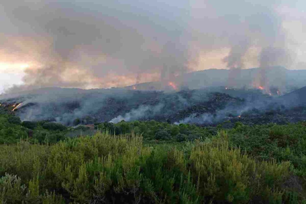 L'incendi en la Vall de Gallinera està estabilitzat