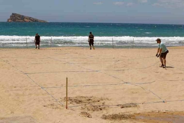 Operaris treballant en la divisió de les parcel·les