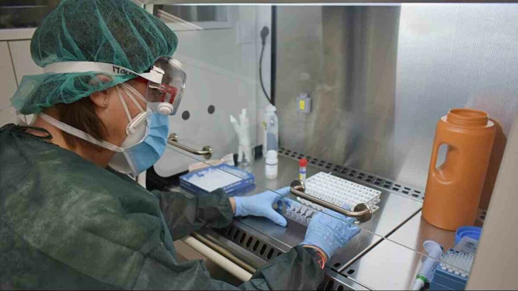 Una investigació de la URV conclou «dubtes» sobre l'origen natural del coronavirus