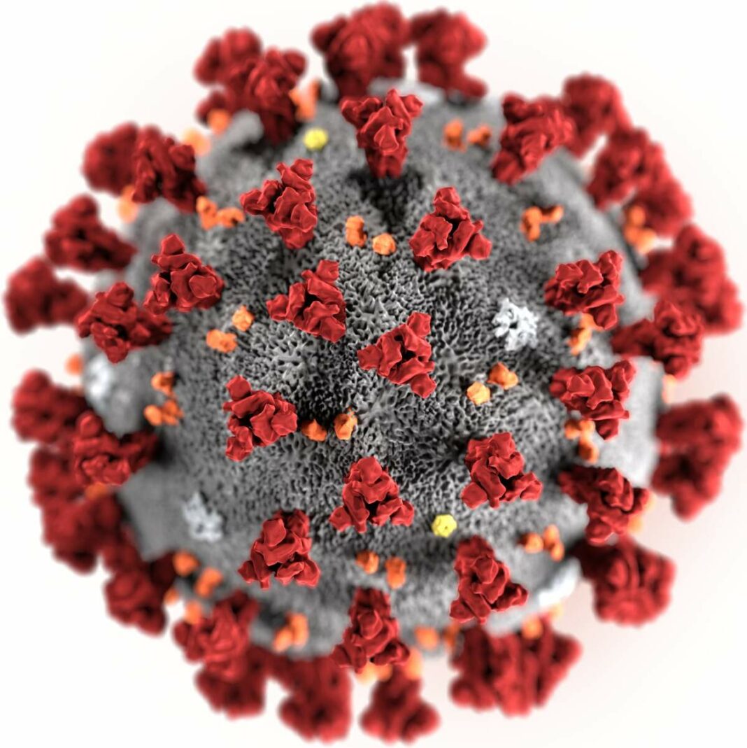 El coronavirus que està portant una mica més de caos al planeta.