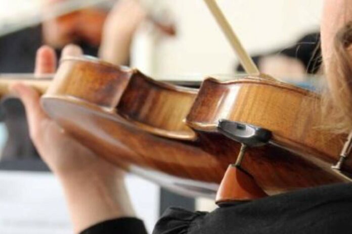 Violí Discover Violí Discover