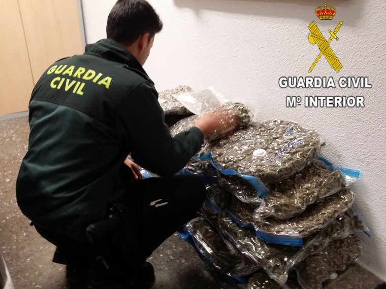 La Guàrdia Civil intervé 30 quilos de marihuana en el terme municipal de Sagunt
