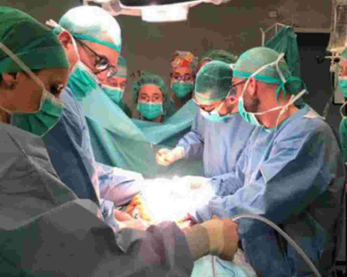 Cinc donants d'òrgans a Lleida propicien trenta trasplantaments durant el 2020 malgrat la pandèmia