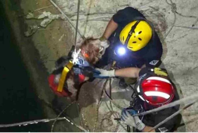 Els fets s'han produït cap a les 20.00 hores d'este dilluns