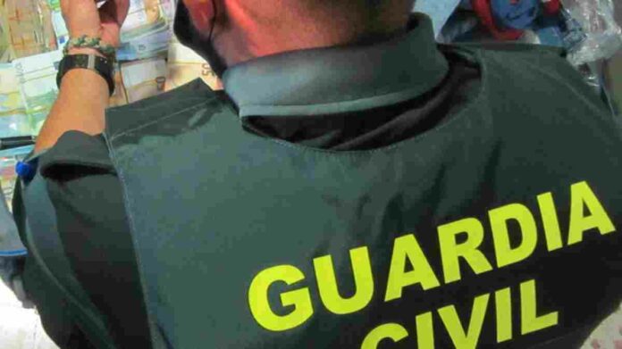 Pla escorç d'un agent de la Guàrdia Civil revisant els diners decomissats a l'àrea de servei del Baix Ebre de l'AP-7 Pla escorç d'un agent de la Guàrdia Civil revisant els diners decomissats a l'àrea de servei del Baix Ebre de l'AP-7