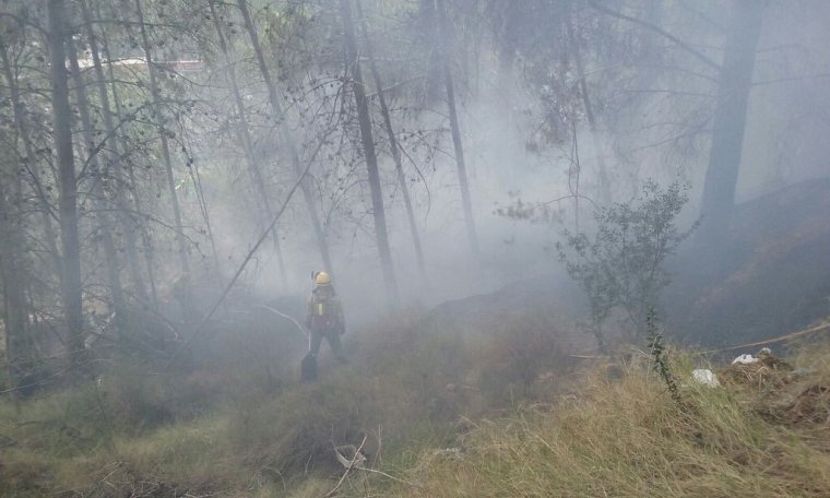 Imatge d'arxiu d'un incendi forestal a Cocentaina