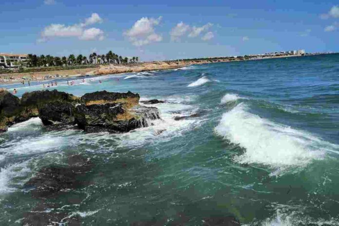 Troben el cadàver d'una dona en una platja en Orihuela Troben el cadàver d'una dona en una platja en Orihuela