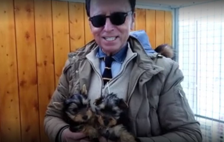 Ortega Cano con dos perritos en las instalaciones de SitCan.