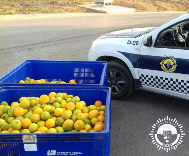Taronges recuperades per la Policia