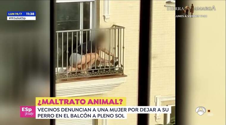 Tanca al seu gos en el balcó en plena onada de calor i ficar-li un calcetí perquè no lladre
