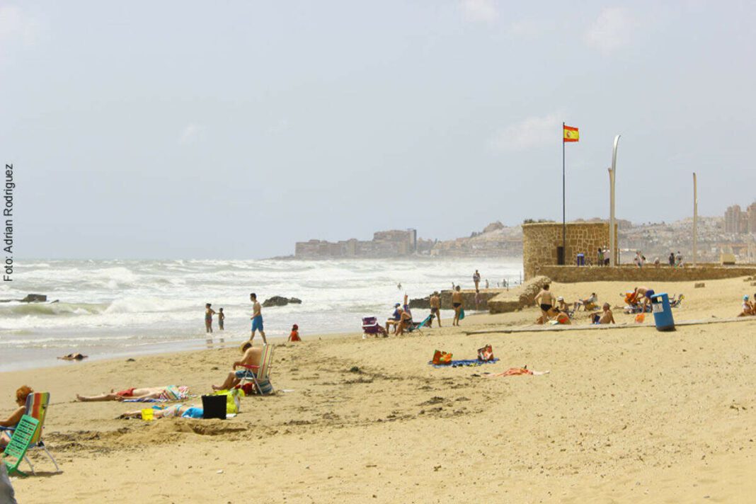 Platja Torrevieja Discover