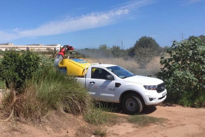 Vila-real incideix en els tractaments contra els mosquits davant les pluges i les altes temperatures de l'inici de la tardor
