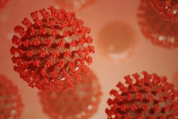 Ómicron: la variant del coronavirus que preocupa els científics