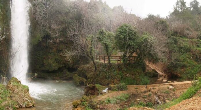 Los Chorradores de Navarrés