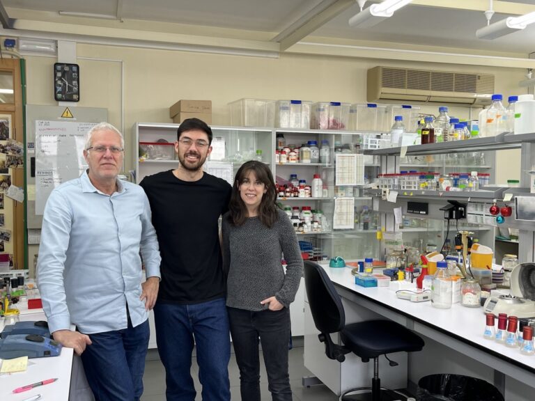 Un grup de la UV identifica nous mecanismes de control del cicle cel·lular en resposta a l’estrés