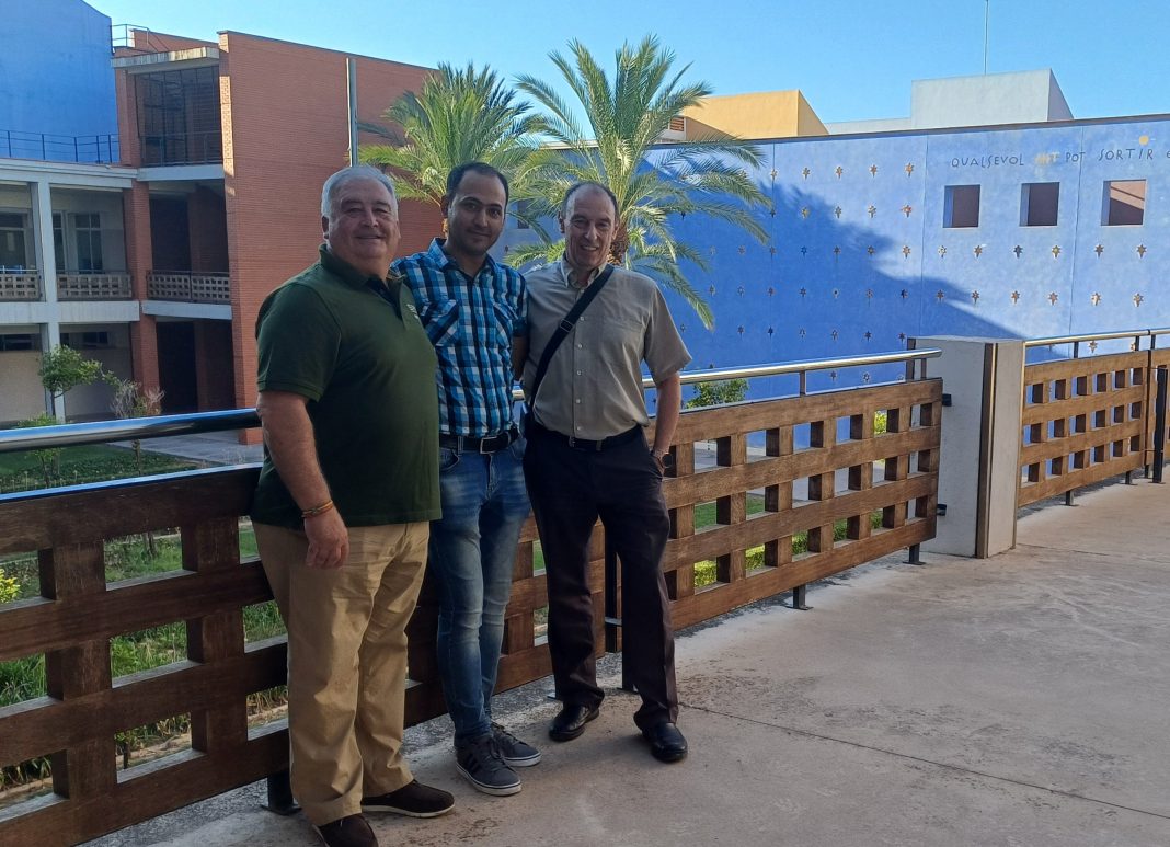 La UPV diseña una aplicación para el diagnóstico autónomo de patologías en naranjos
