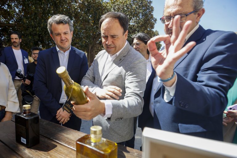 Olis d’Alacant accelera la Denominació d’Origen per a l’oli d’oliva de la província