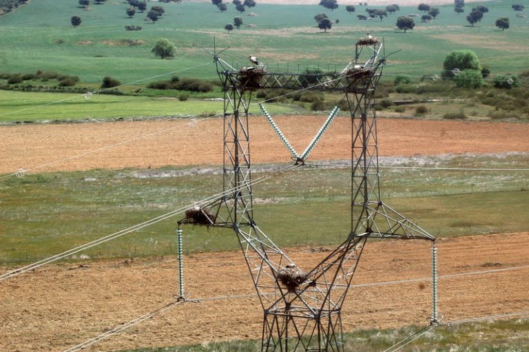 Xarxa Elèctrica reforça la xarxa de transport a València en repotenciar la línia Godelleta-Requena de 400 kV