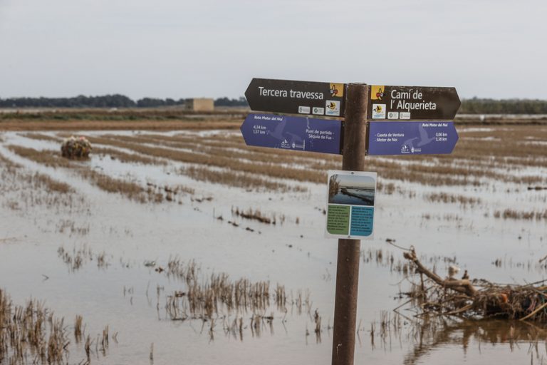 Acció Ecologista-Agró alerta d’abocaments d’aigües residuals a l’Albufera any i mig després de la dana
