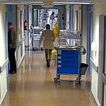 Detenido hurtos hospital Torrevieja Guardia Civil (2)