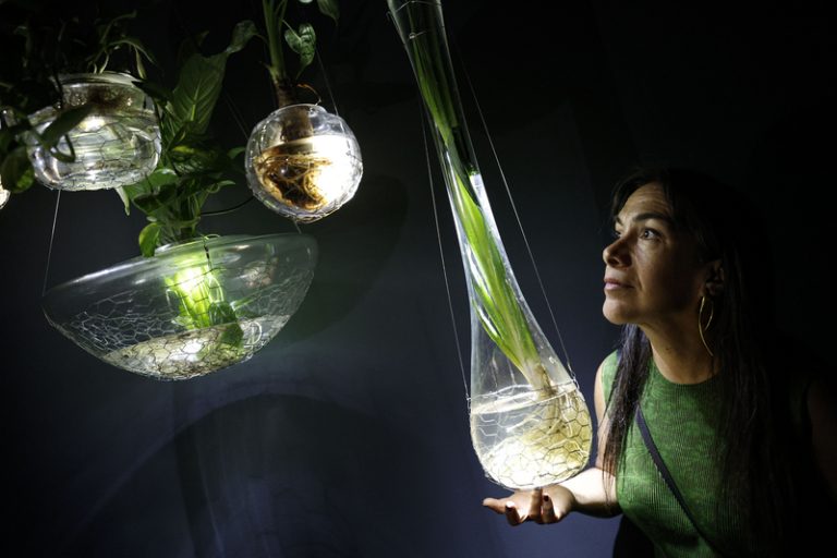 Tania Candiani convertix l’IVAM en un ecosistema especulatiu amb arrels imaginades