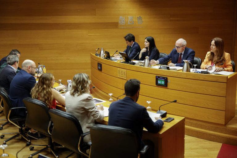 PP i Vox imposen el tancament de la comissió de la dana en Les Corts amb el seu únic vot